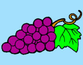 Desenho Uvas pintado por uva colorida