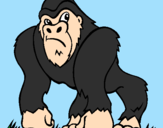 Desenho Gorila pintado por pedro augusto