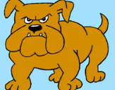 Desenho Cão Bulldog pintado por carol