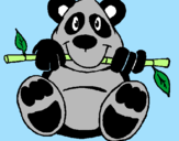 Desenho Urso panda pintado por felipe