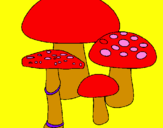 Desenho Cogumelos pintado por desenhisatas