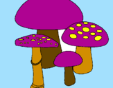 Desenho Cogumelos pintado por luis