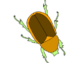 Desenho Escaravelho pintado por tania