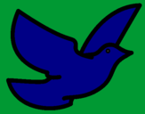 Desenho Pomba da paz pintado por diego