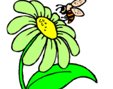Desenho Margarida com abelha pintado por thaynsra