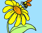 Desenho Margarida com abelha pintado por myllena