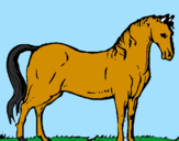 Desenho Cavalo andaluz pintado por Gonçalo