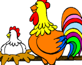 Desenho Galo e galinha pintado por joão pedro da silva ramos