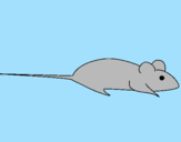 Desenho Rata pintado por gabriela
