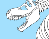 Desenho Esqueleto tiranossauro rex pintado por maria fer