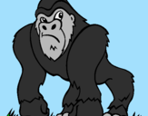 Desenho Gorila pintado por VIVIANE