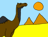 Desenho Camelo pintado por lailajaen