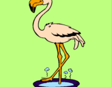 Desenho Flamingo com os pés de molho pintado por carina