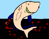 Desenho Tubarão pintado por elias filho