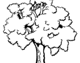 Desenho Árvore pintado por mangueira