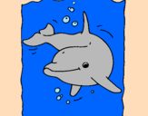 Desenho Golfinho pintado por Memê