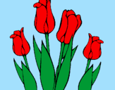 Desenho Tulipa pintado por beatriz