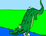 Desenho Crocodilo a entrar na água pintado por Marcelo
