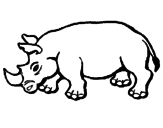 Desenho Rinoceronte pintado por anónimo