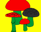 Desenho Cogumelos pintado por mama