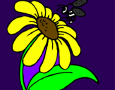 Desenho Margarida com abelha pintado por Hanna