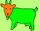 Desenho Cabra pintado por pñoutrtulc` `v`j´ `ç`llik