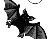 Desenho Morcego cão pintado por Morcego