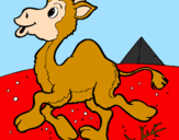Desenho Camelo pintado por teteu