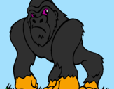 Desenho Gorila pintado por caleb