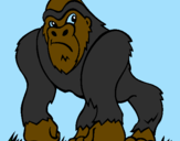 Desenho Gorila pintado por pedro e mamae
