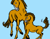 Desenho Cavalos pintado por cavalos