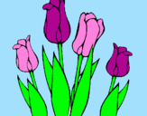 Desenho Tulipa pintado por Bianca