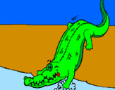 Desenho Crocodilo a entrar na água pintado por DANIEL