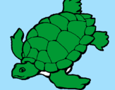 Desenho Tartaruga pintado por bernardo