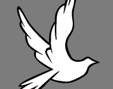 Desenho Pomba da paz a voar pintado por tata