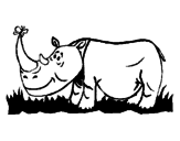Desenho Rinoceronte e borboleta pintado por nn