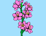 Desenho Flores de campo pintado por Danielly