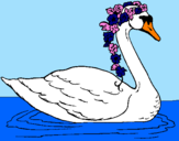 Desenho Cisne com flores pintado por LAURA