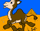 Desenho Camelo pintado por Rubby