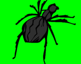 Desenho Aranha viúva negra pintado por ezy