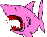 Desenho Tubarão pintado por erick