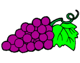 Desenho Uvas pintado por manugatinha