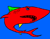 Desenho Tubarão pintado por eduardo