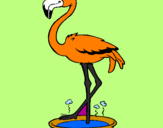 Desenho Flamingo com os pés de molho pintado por fla mingo