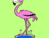 Desenho Flamingo com os pés de molho pintado por eduardo