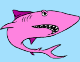 Desenho Tubarão pintado por Laura