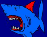 Desenho Tubarão pintado por david