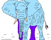 Desenho Elefante pintado por nauany