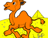 Desenho Camelo pintado por guilherme