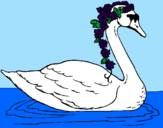 Desenho Cisne com flores pintado por maria fernanda portel